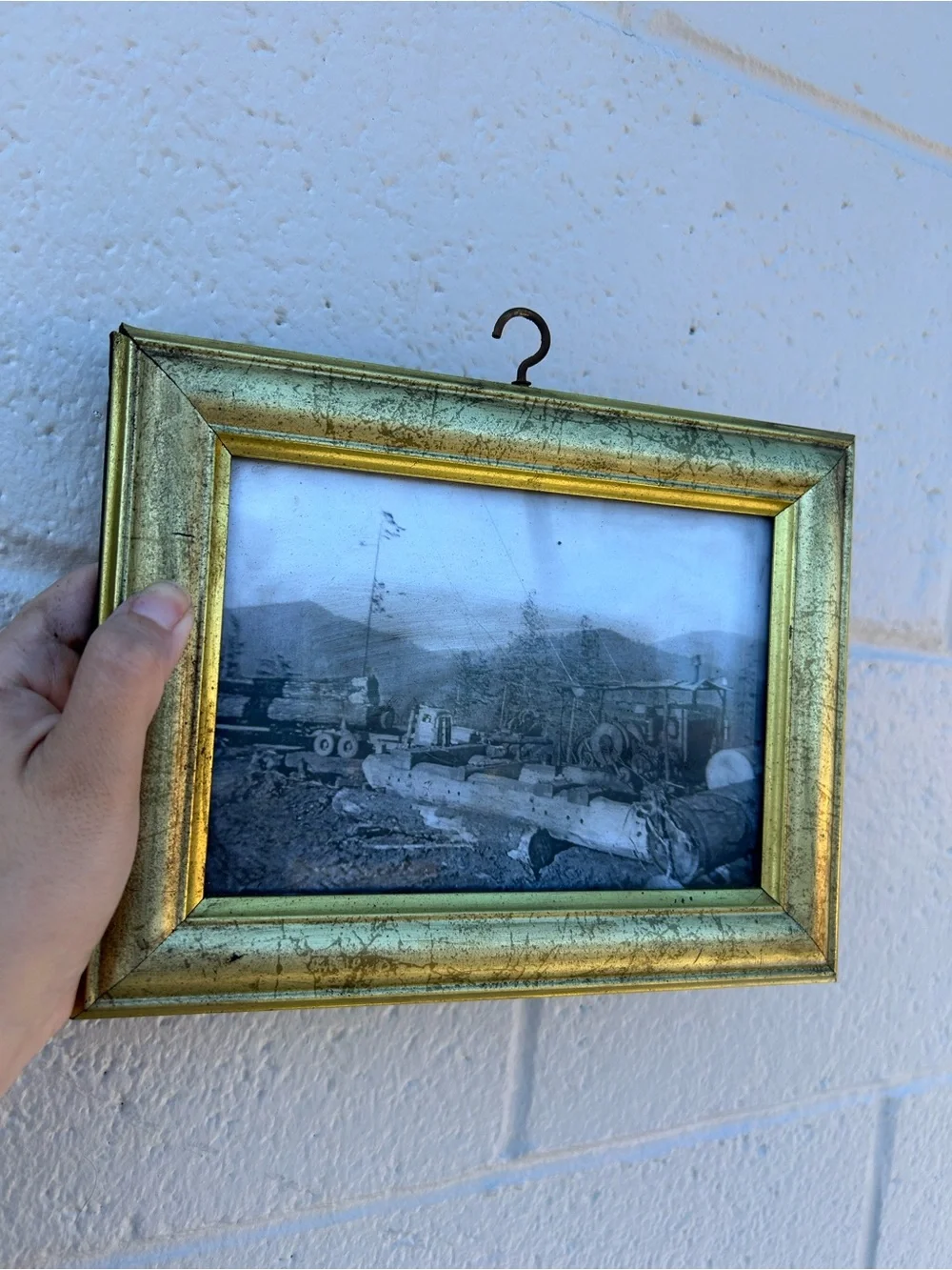 Small Gold Vintage Hanging Picture Frame wall art decor